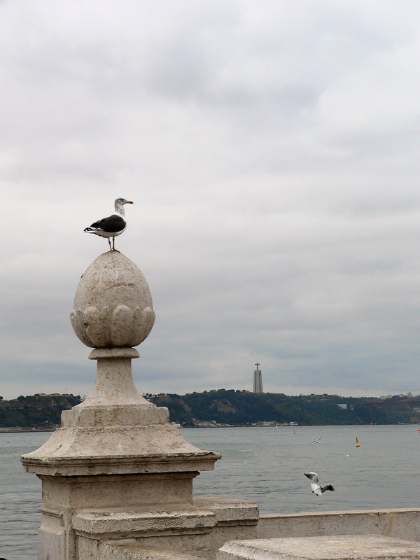 oiseau de mer de paille