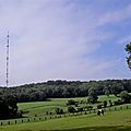 _IGP5187 (2)