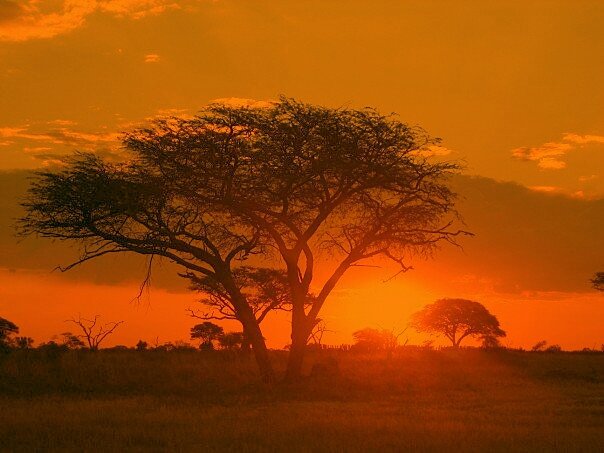Zimbabwe_Sunrise_Matobo