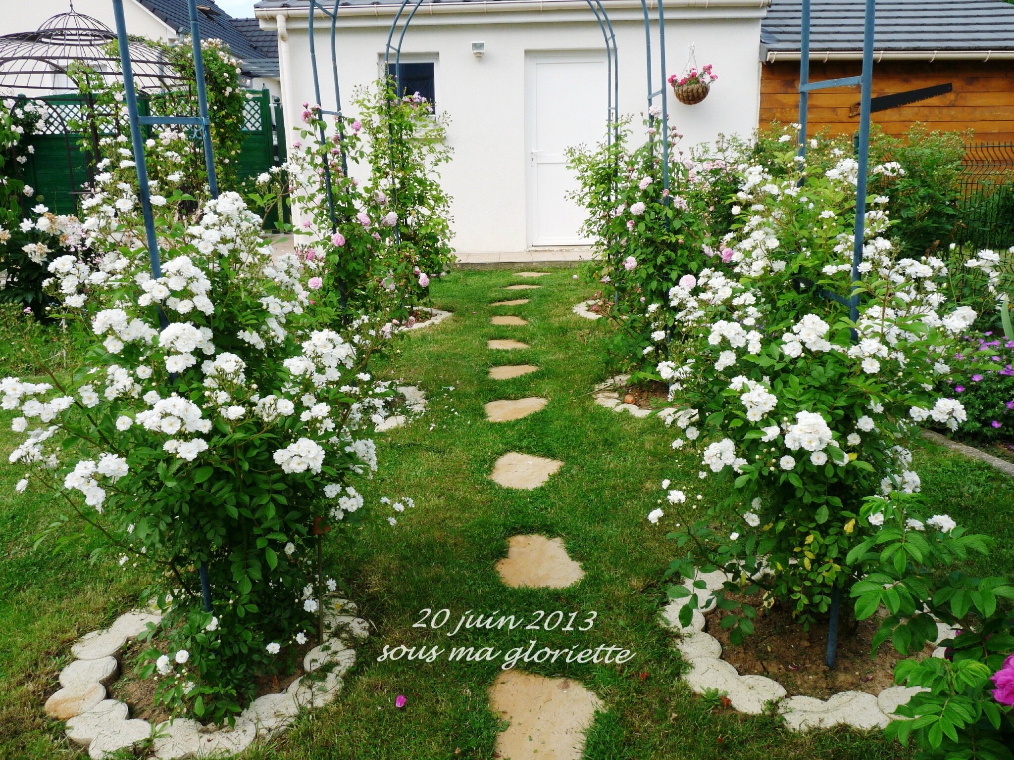 Meteo L Hay Les Roses 15 Jours Les roses du moment. 2° épisode. - sous ma gloriette