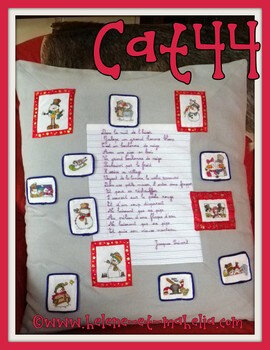 17 cat44_saldec20