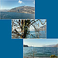 Le lac de thoune
