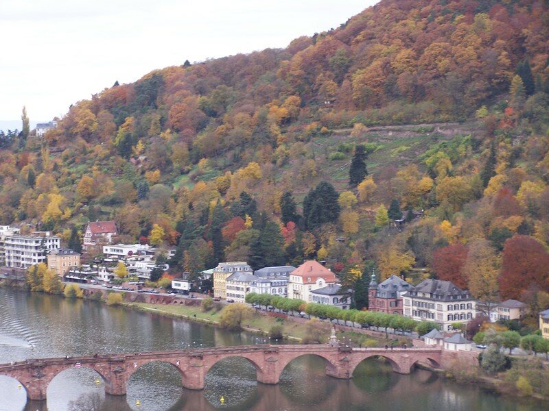 Week End De La Toussaint Knight Of Heidelberg