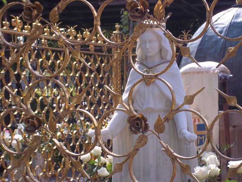 Fête de Marie, Reine de l’univers NOTRE DAME MIRACULEUSE DES ROSES ET MAMMA ROSA