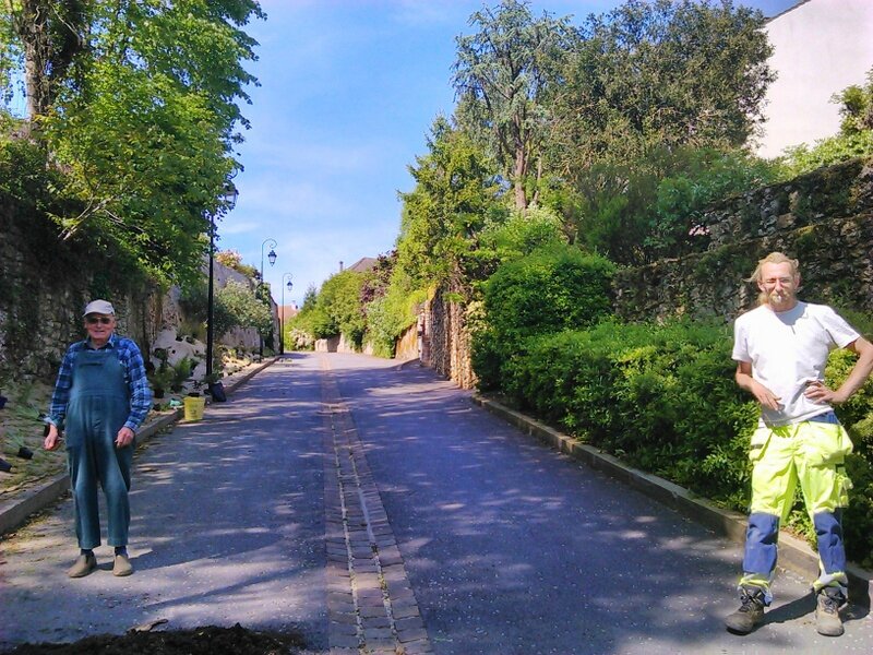PLANTATION Rue des ORFEVRES 05-06-07 MAI 2014 05-05-2014 16-05-08-1