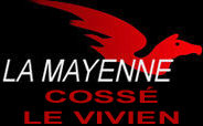 Coss__logo