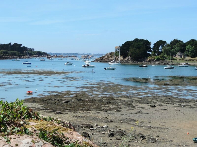 _copie-0_DSCN9128