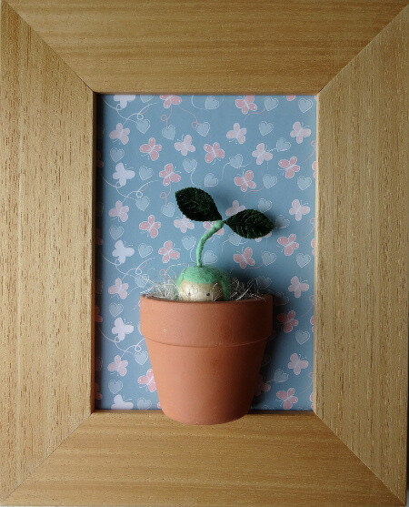 Germination cadre