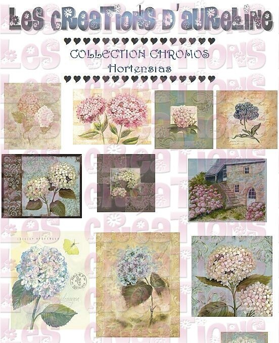 pochette hortensias