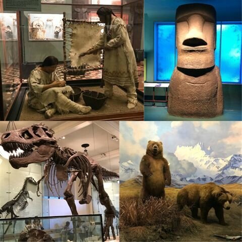 American Museum of Natural History ©Kid Friendly