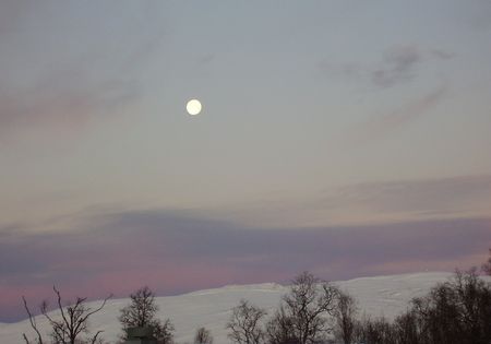 P1310007