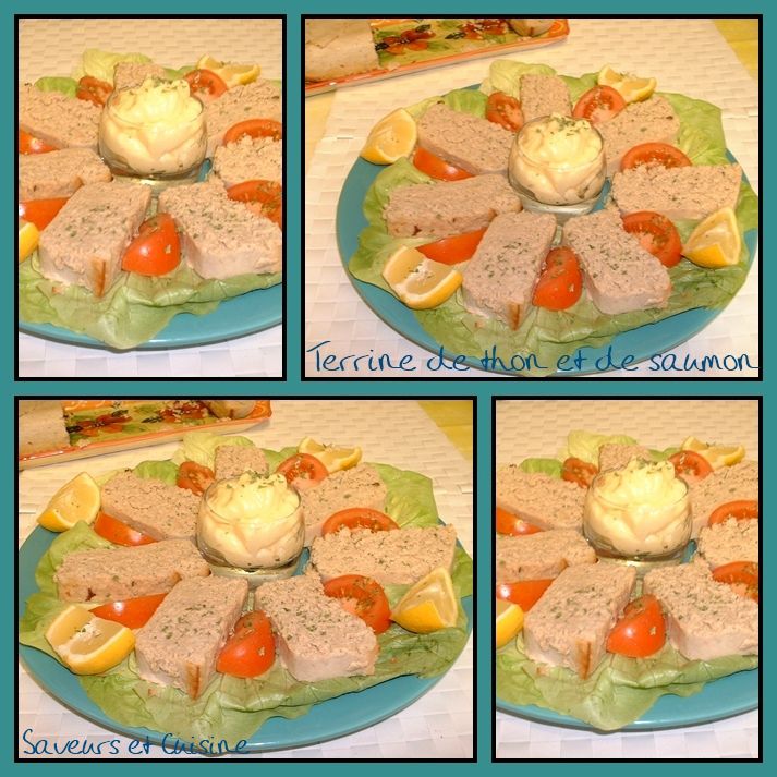 Terrine de thon et de saumon rose Chambre d'hôtes "Aux Sources de