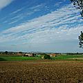 IMGP0430