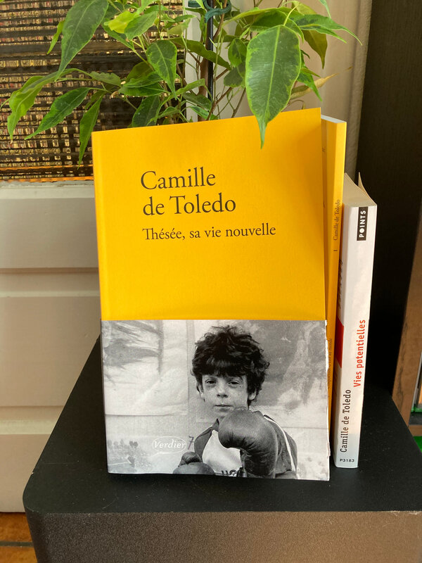 « Thésée, sa vie nouvelle » de Camille de Toledo