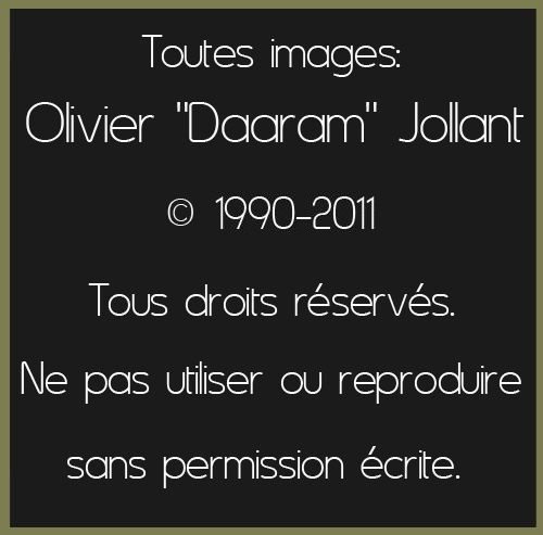 Copyright_Olivier_Daaram_Jollant