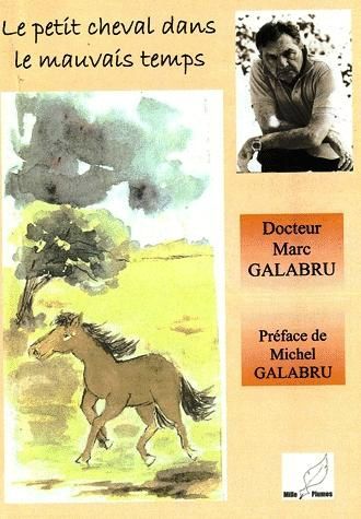 LE-PETIT-CHEVAL-DANS-LE-MAUVAIS-TEMPS