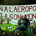 notre-dame-des-landes-aeroport-manifestation-REUTERS-930620_scalewidth_630