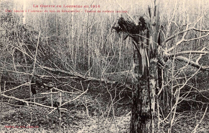 tombe dans bois Rehainviller