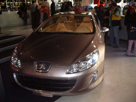 Peugeot407Elixir2