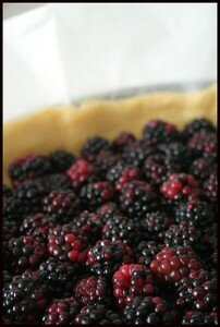 tarte_mures_AV