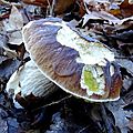 DSC06659