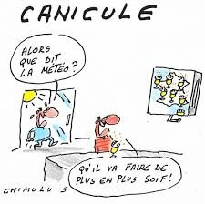 canicule