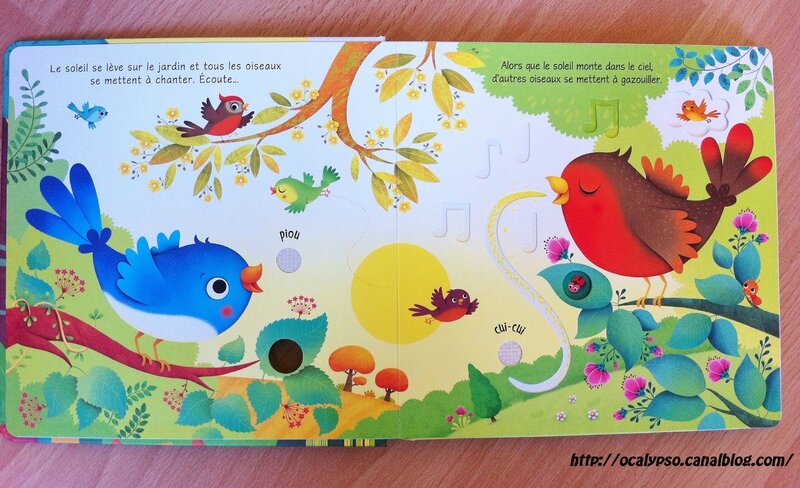 Les Bruits Du Jardin Mon Livre Sonore à Toucher Les bruits du jardin - Calypso