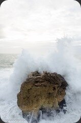 Portugal-85