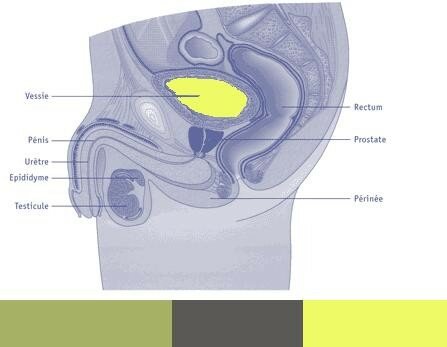 En Attendant Monsieur Deluxe Blogniros