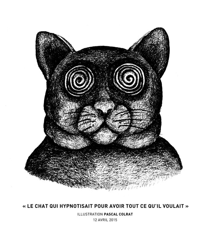 Le Chat Qui Hypnotisait Pour Avoir Tout Ce Qu Il Voulait Blog Pascal Colrat