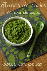 Pesto_fanes_de_radis_1