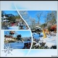 Pairi daiza 2013 038
