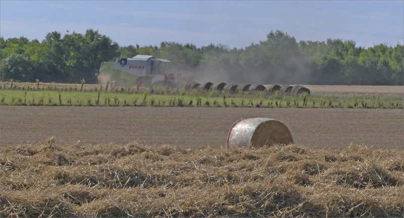 Plaine moissoneuse Klaas 280622
