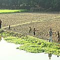 Balade sur l'eau