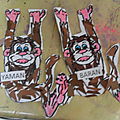 704-Les singes en M.S.