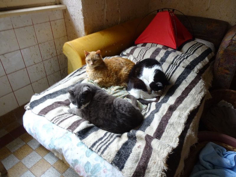 DSC00338