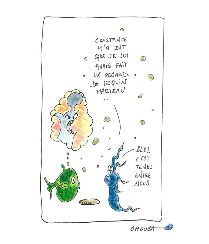 blbl-c'est-tendu:optimisation-image-canalblog-google-taille