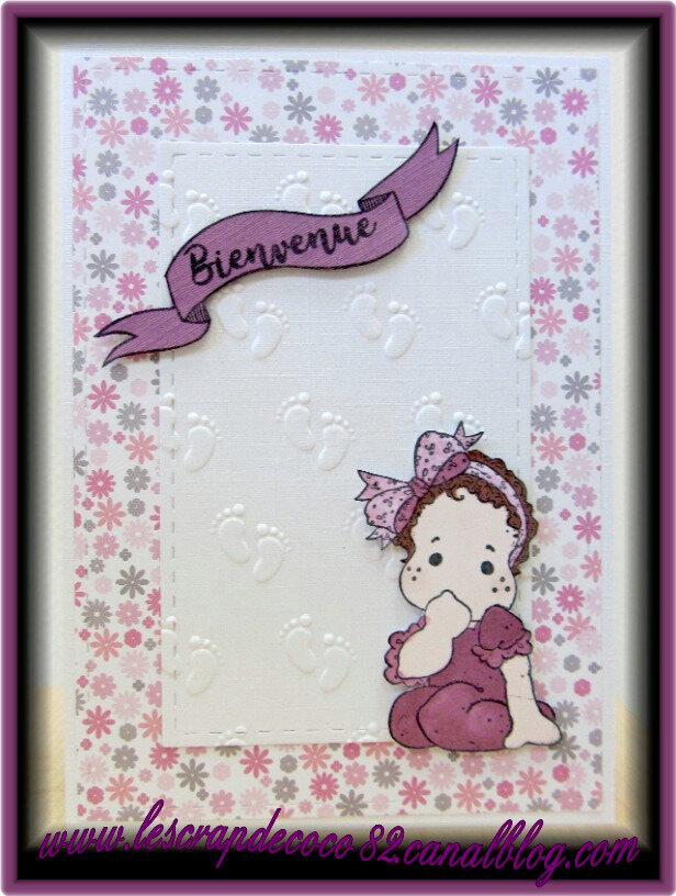 Carte Naissance Fille Bienvenue Le Scrap De Coco