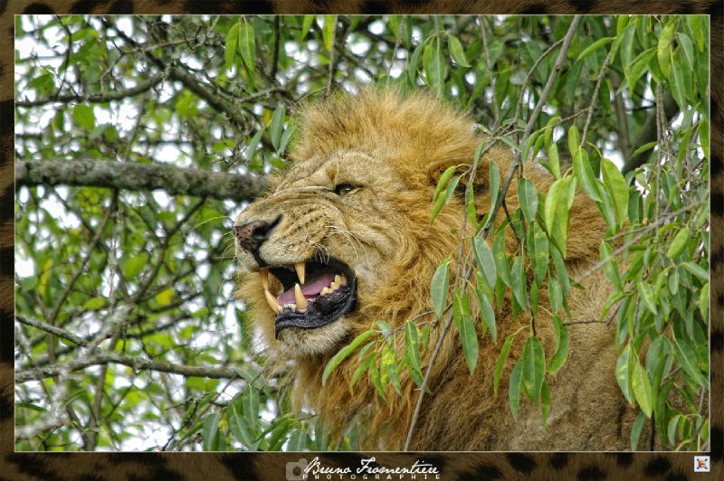 Big five 1b