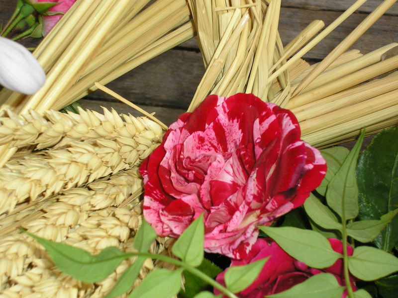 Epis de blé , jasmin et roses - Un petit coin de campagne