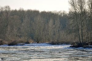 Loire-charrie-des-glacons