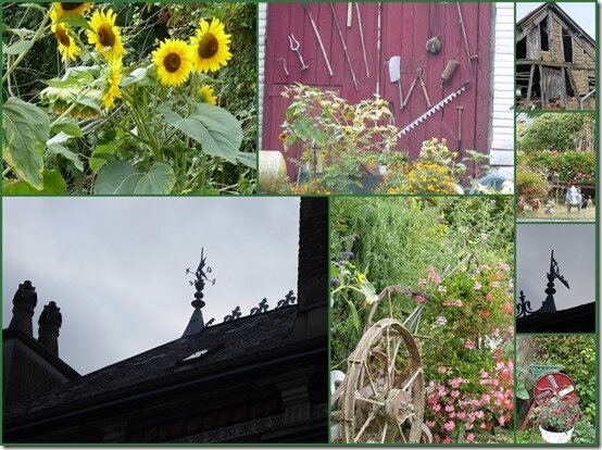 dans les Ardennes