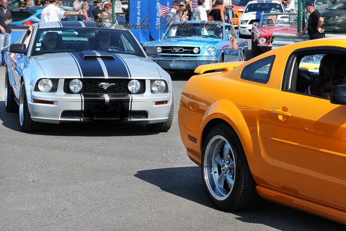 Mustangnats_Tasunkaphotos2018_19