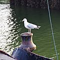 IMGP7936