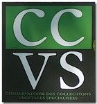 CCVS