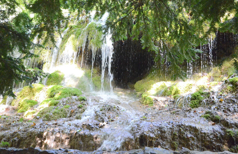 DSC_8291