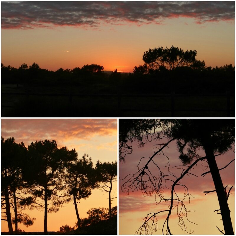 landes3
