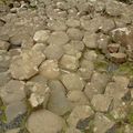 Les Giant's Causeway