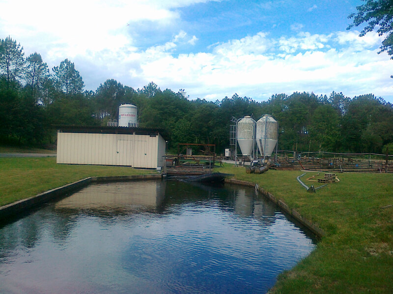 Photo-pisciculture-pont-de-la-Moulasse