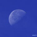 clair de lune diurne